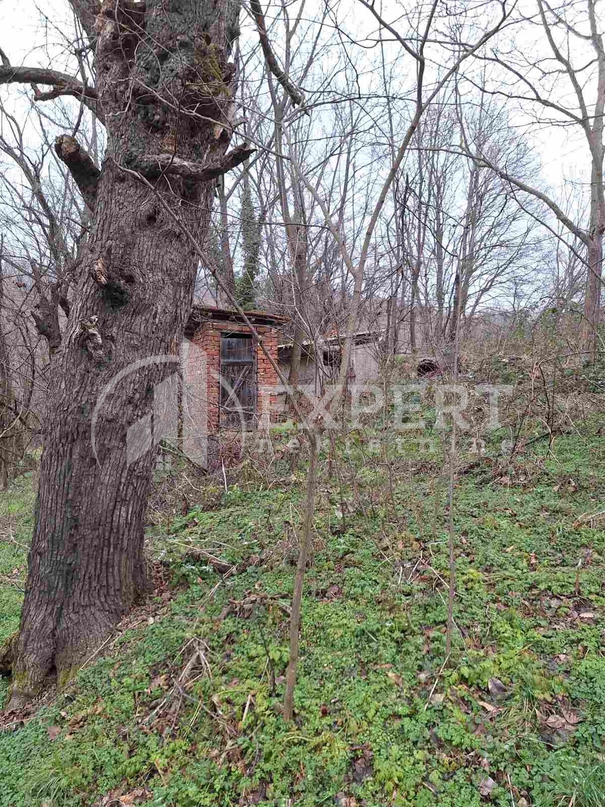 četvorosobna kuća, 60 m2, Gornje Vlase, Gornje Vlase ID: p-012358 4