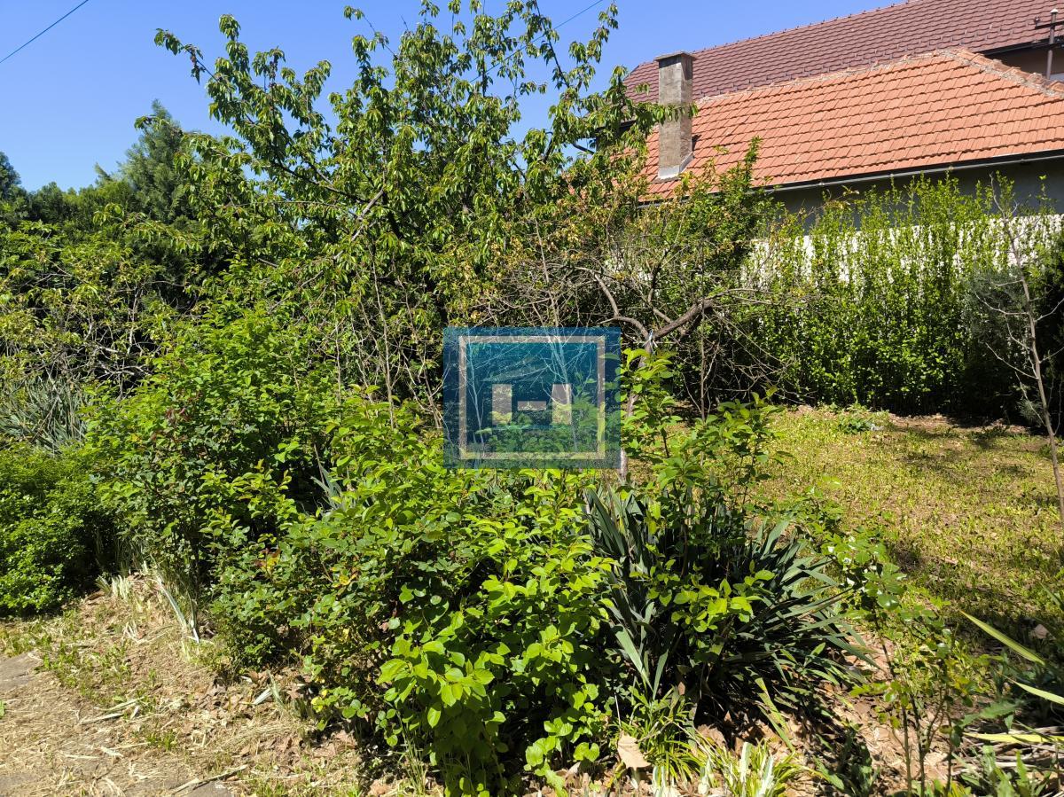 Idealna kuća za porodicu – komfor i lokacija na jednom mestu! 9