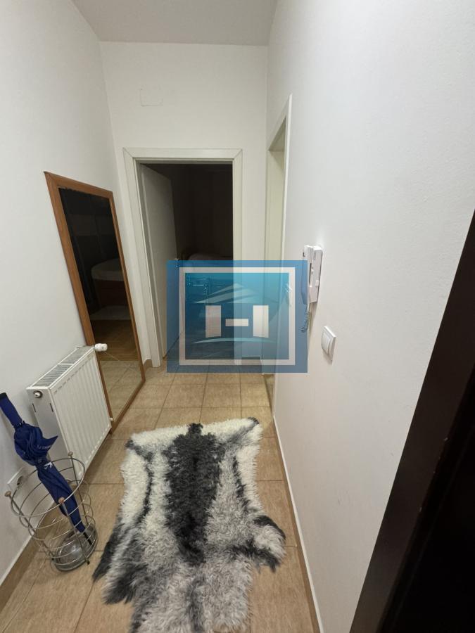 Kompletno namešten stan u Plavuši 3