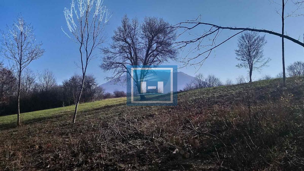 Krivi vir-zemljište 1