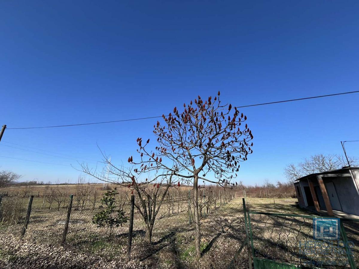 Kuća u Majuru na prostranom placu 8