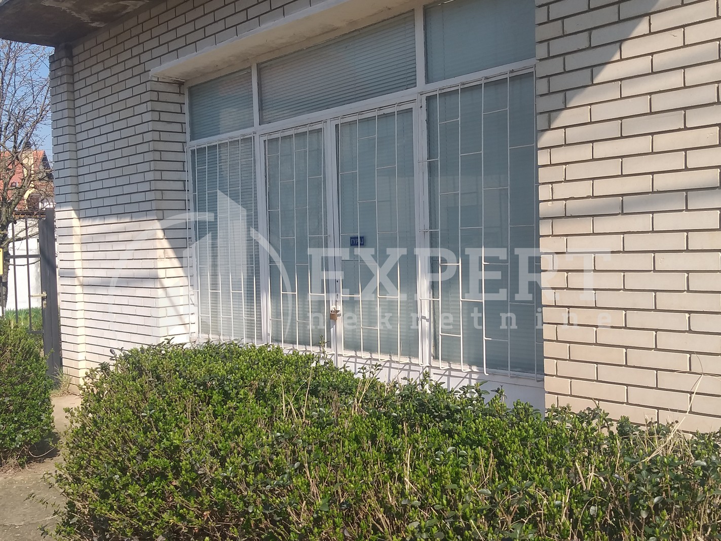 Lokal, 100 m2, Palilula, Maršala Tita ID: i-012656 1