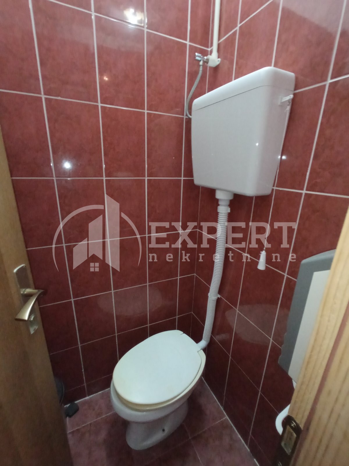 Lokal, 163 m2, Palilula, Pasi poljana ID: i-014323 6