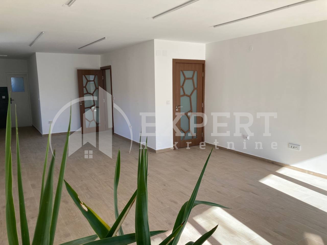 Lokal, 206 m2, Palilula, Stanoja Bunuševca ID: i-013136 4