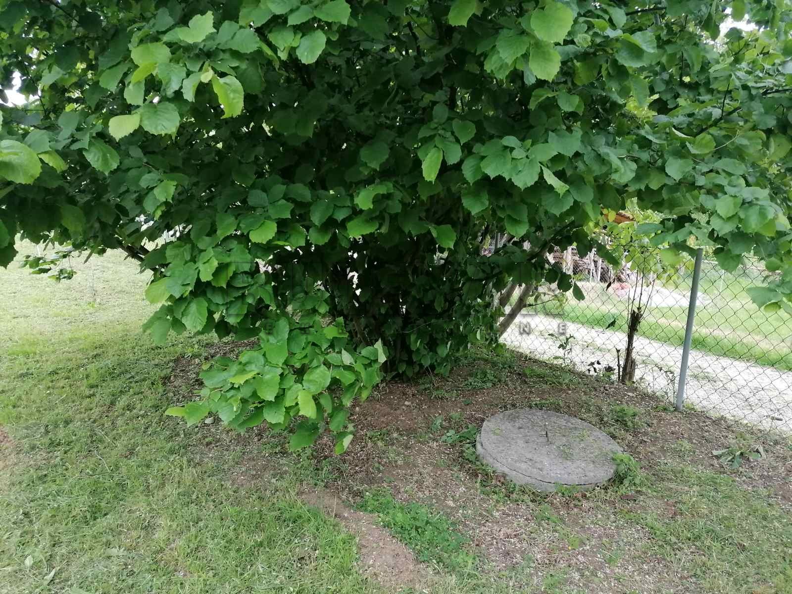 Plac, Baljkovački put ID: p-012415 2