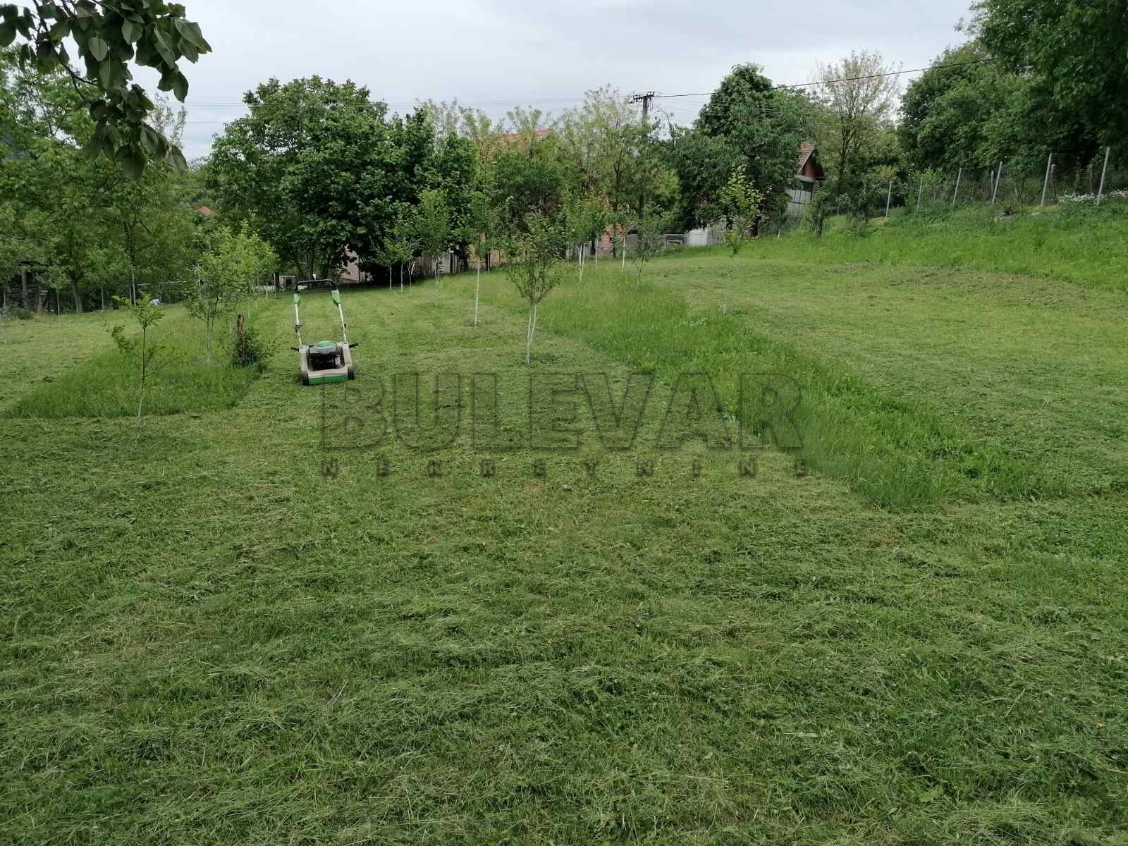 Plac, Baljkovački put ID: p-012415 7