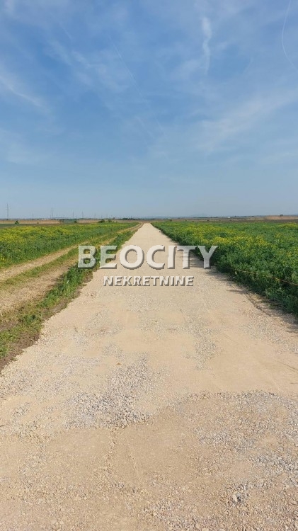 Plac, Batajnica, Zemunska ID: 113473 2