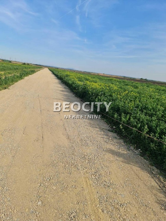 Plac, Batajnica, Zemunska ID: 113473 3