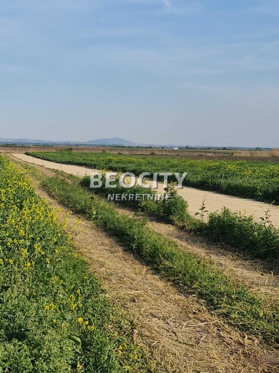 Plac, Batajnica, Zemunska ID: 113473 4