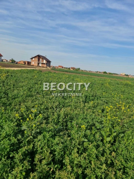 Plac, Batajnica, Zemunska ID: 113473 5