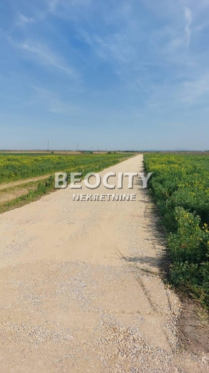 Plac, Batajnica, Zemunska ID: 113473 6