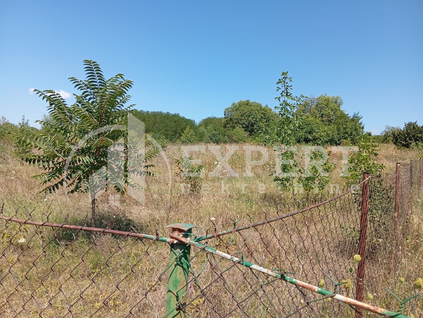 Plac, Donji Komren, Obrada Kostadiinovića ID: p-012222 1