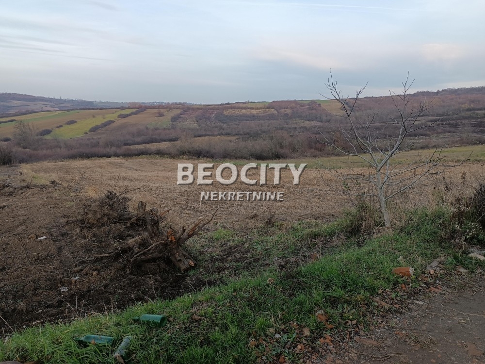 Plac, Obrenovac, Preki lug ID: 91670 2