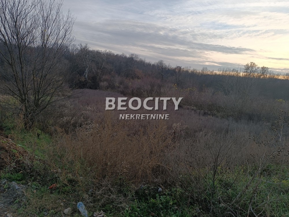 Plac, Obrenovac, Ravanička ID: 91231 2