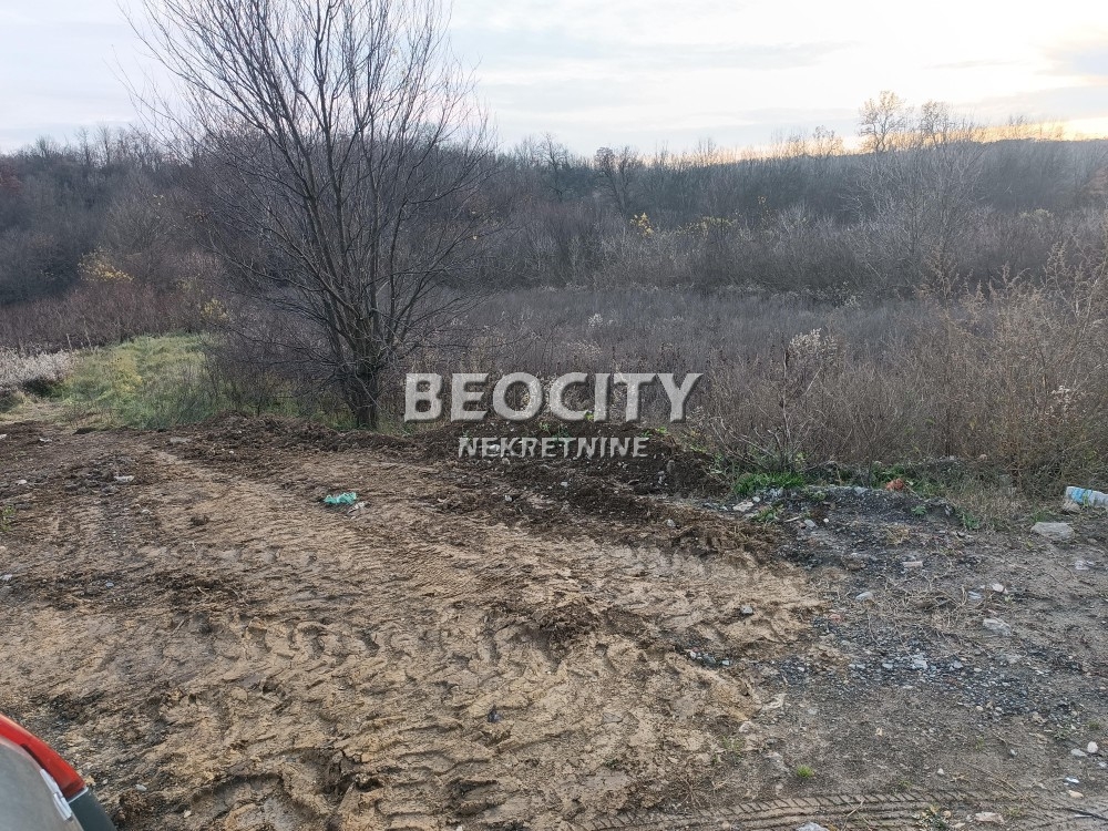 Plac, Obrenovac, Ravanička ID: 91231 3