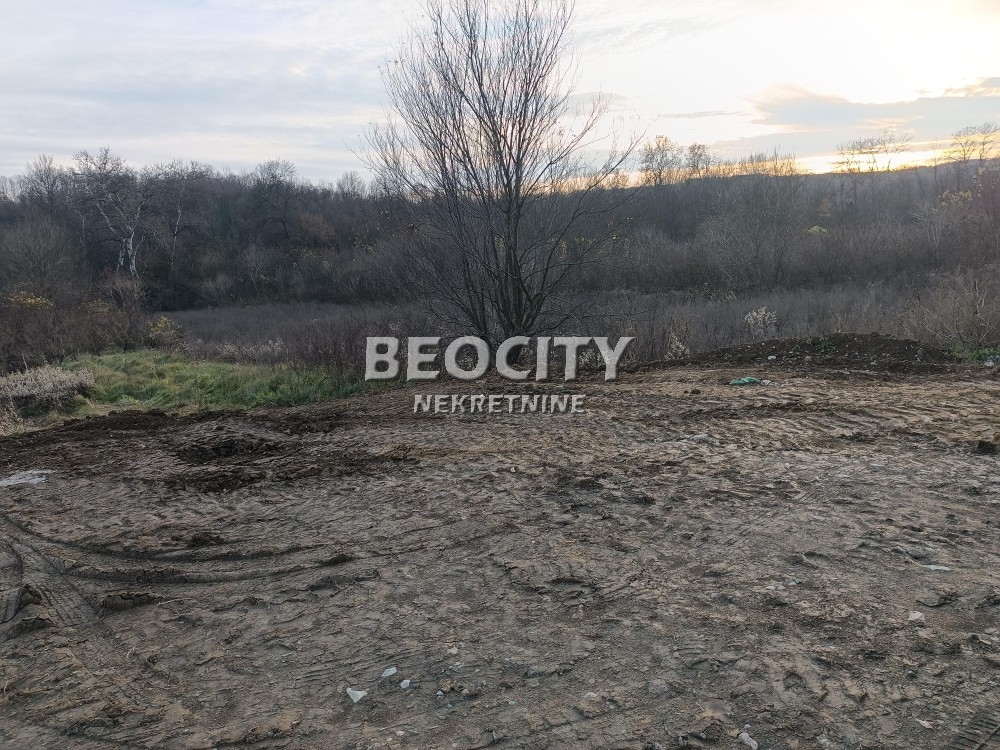 Plac, Obrenovac, Ravanička ID: 91231 4