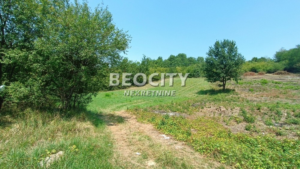 Plac, Obrenovac, Ravanička ID: 91232 3