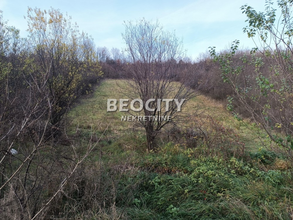 Plac, Obrenovac, Ravanička ID: 91232 6