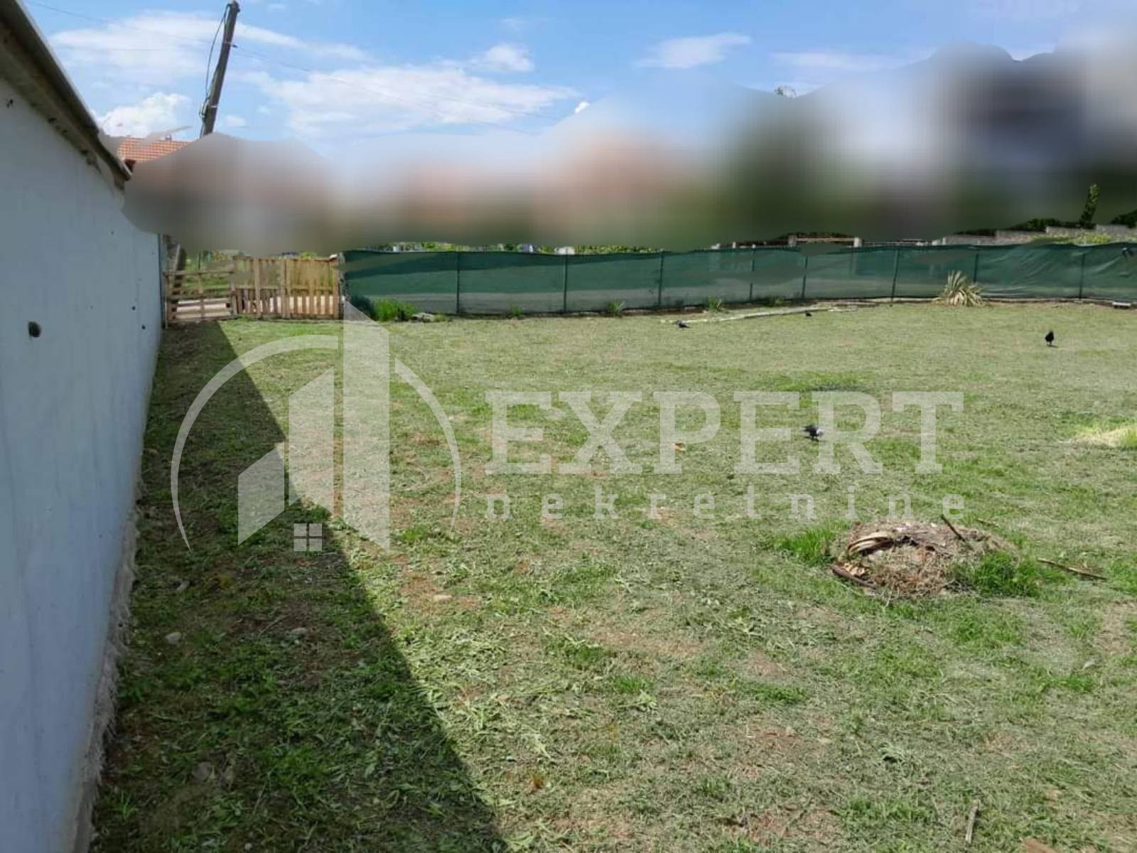 Plac, Pantelej, Gornjomatejevačka ID: i-012241 3