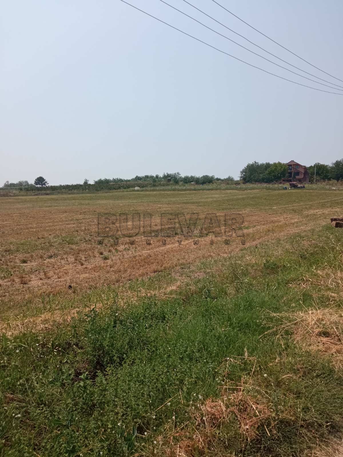 Plac, Poskurice, Poskurički put ID: p-014201 2