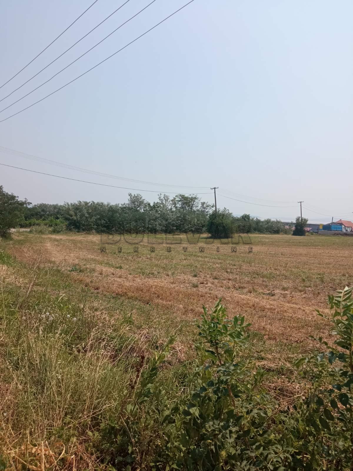 Plac, Poskurice, Poskurički put ID: p-014201 3