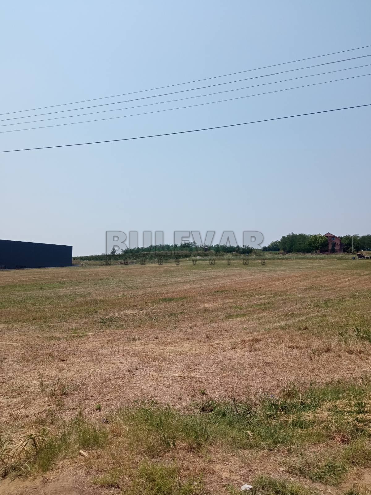 Plac, Poskurice, Poskurički put ID: p-014201 4