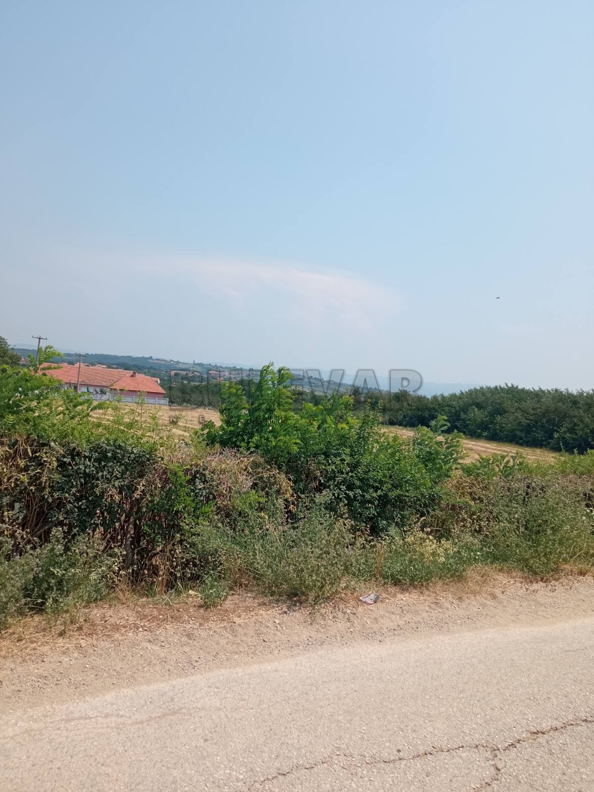 Plac, Poskurice, Poskurički put ID: p-014201 6