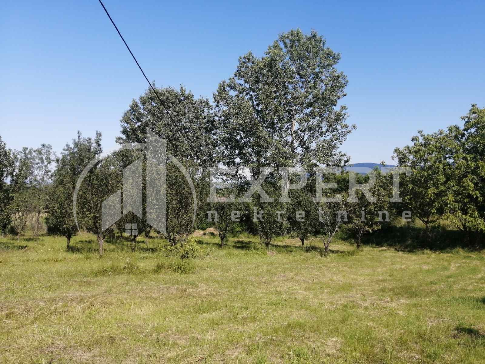 Plac, Ribarska Banja, Ribare ID: p-09257 1