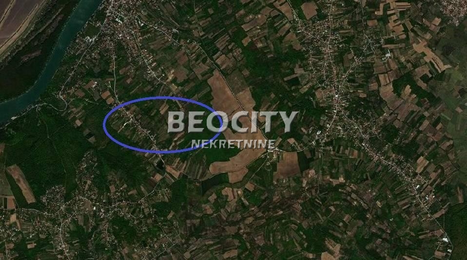 Plac, Rucka, Rucka ID: 88982 1