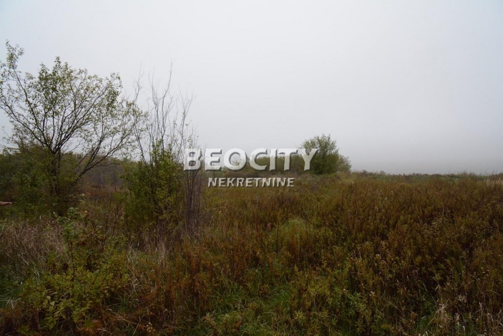 Plac, Rucka, Rucka ID: 88982 2