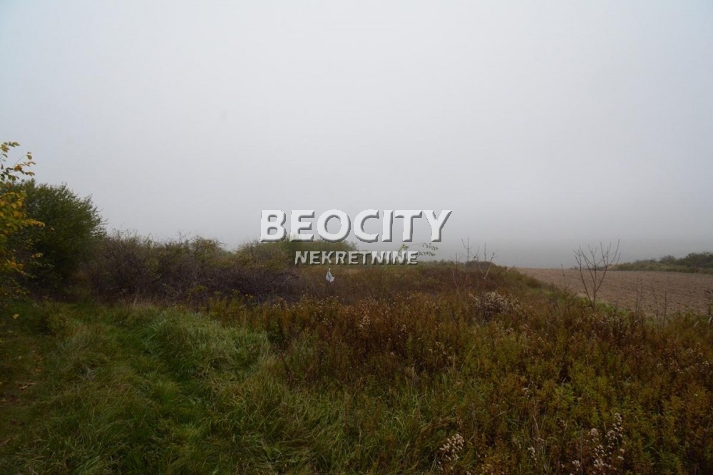 Plac, Rucka, Rucka ID: 88982 4