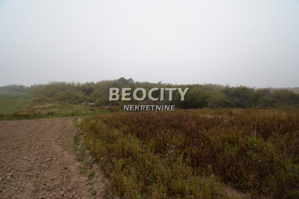 Plac, Rucka, Rucka ID: 88982 5