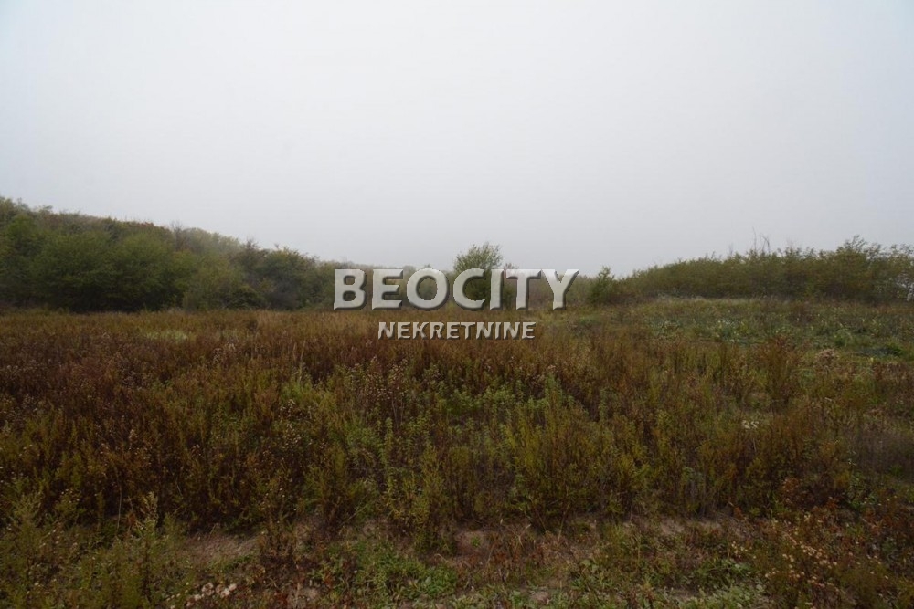 Plac, Rucka, Rucka ID: 88982 7