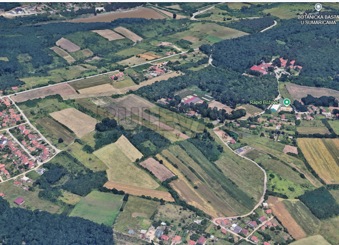 Plac, Šumarice, Lovačka ID: p-013365 1