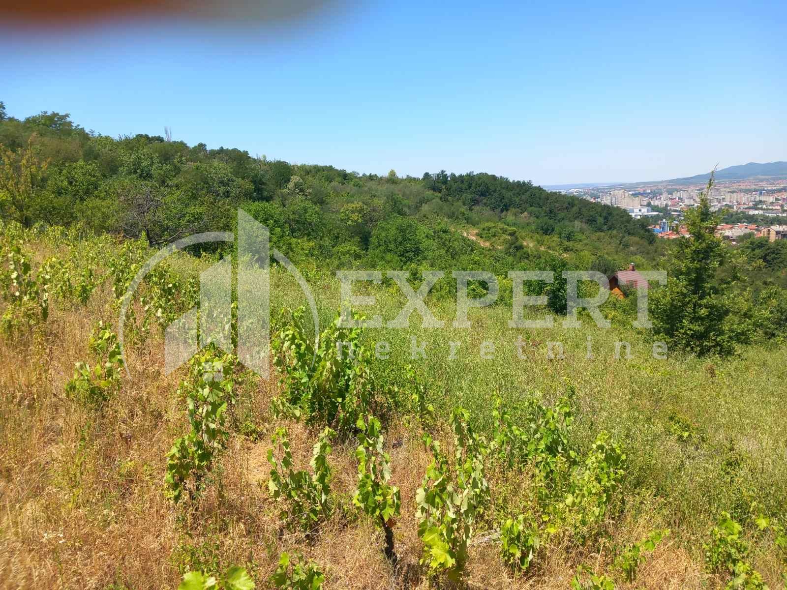 Plac, Trošarina, Miladina Popovića ID: p-014400 6