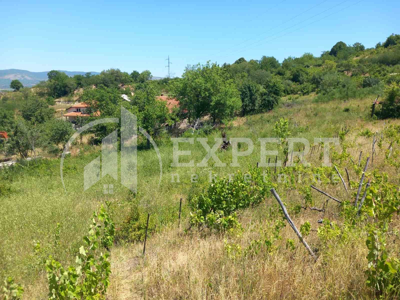 Plac, Trošarina, Miladina Popovića ID: p-014400 8