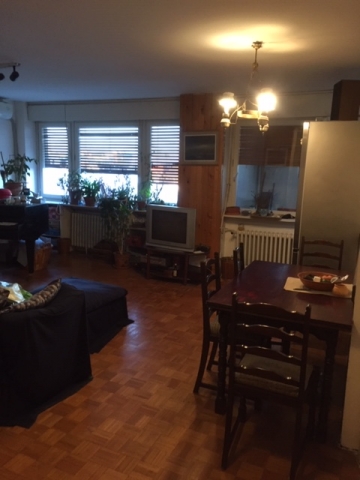 SOCIJALNO, 94 m2, Četvorosoban, Odličan raspored 2