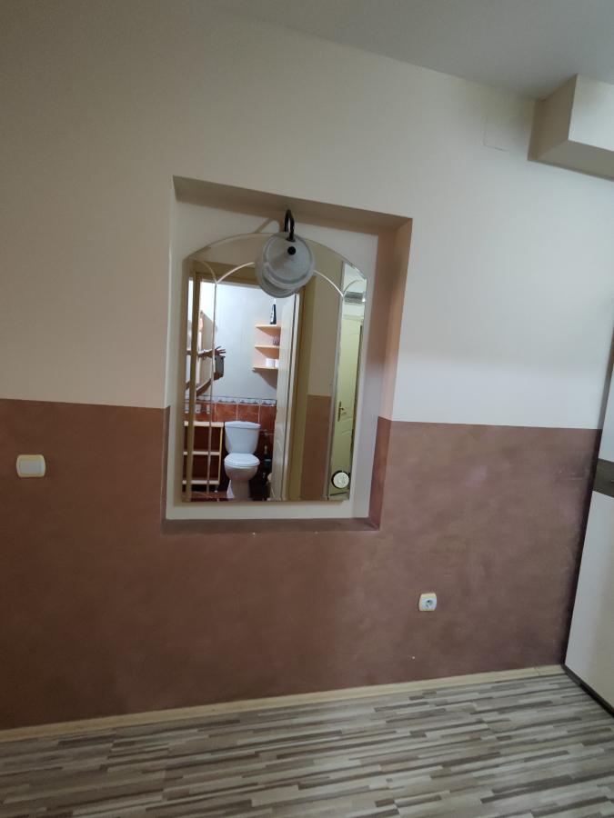 Veći,prelepo namešten jednosoban stan 12