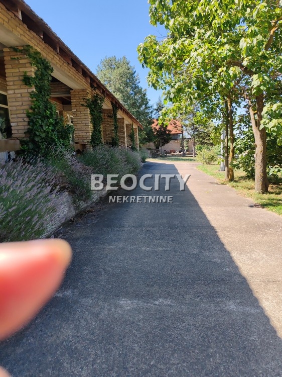 Kuća, 800 m2, Neradin, Luka ID: 121267 10