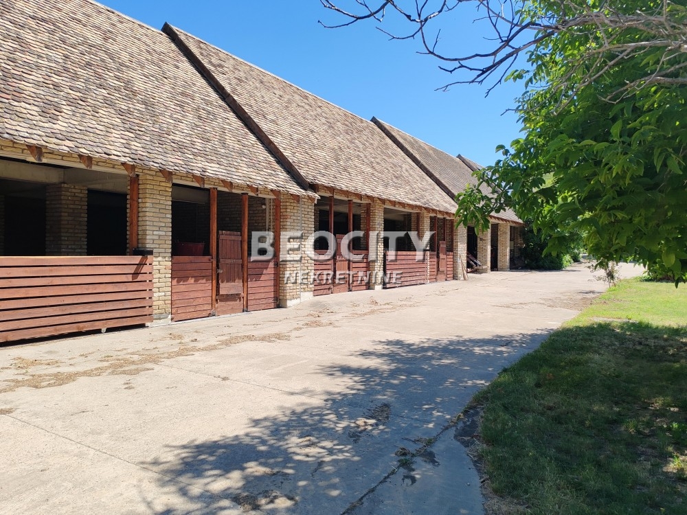 Kuća, 800 m2, Neradin, Luka ID: 121267 9