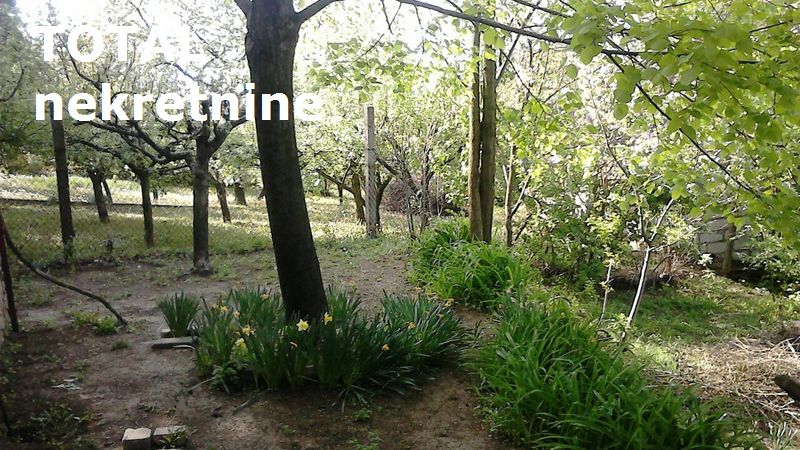 Kuca,SREMSKA KAMENICA,CARDAK,kv: 177.00, € 175100, ID: 3079568 24