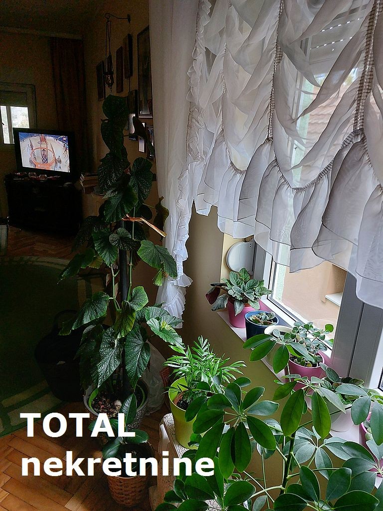 Kuca,VETERNIK,VETERNIK,kv: 240.00, € 195700, ID: 3089867 4