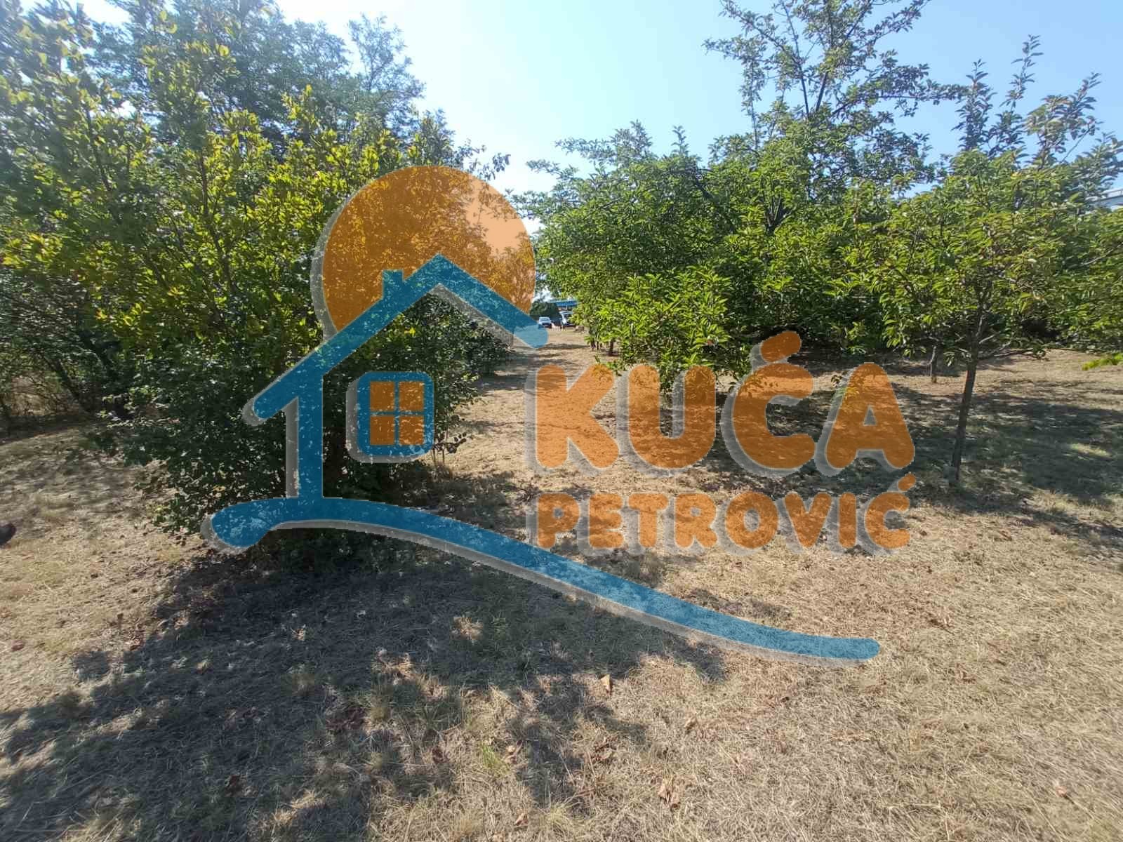 Plac, Gornja Vrežina, Gornja vrežina ID: i-014511 2