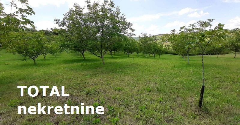 Plac,LEDINCI,NOVI LEDINCI,kv: 9928.00, € 409000, ID: 7089508 10