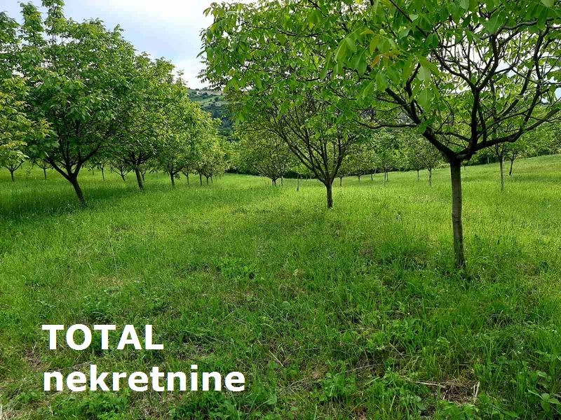 Plac,LEDINCI,NOVI LEDINCI,kv: 9928.00, € 409000, ID: 7089508 12