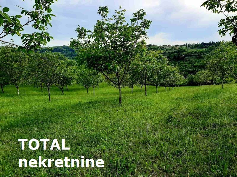 Plac,LEDINCI,NOVI LEDINCI,kv: 9928.00, € 409000, ID: 7089508 13