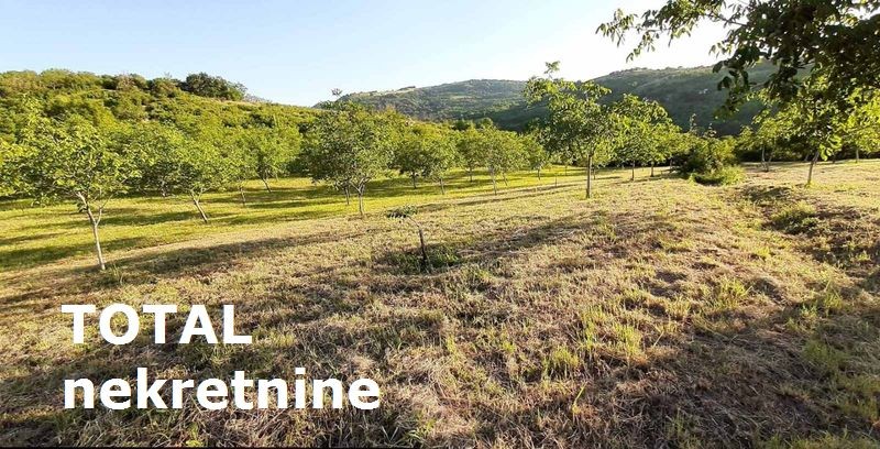 Plac,LEDINCI,NOVI LEDINCI,kv: 9928.00, € 409000, ID: 7089508 14