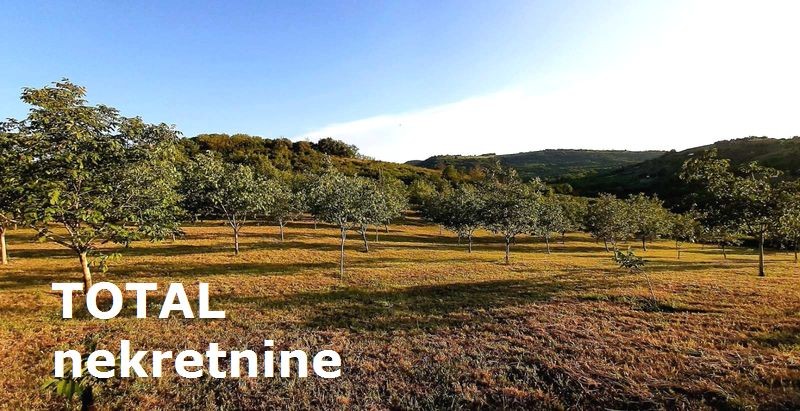 Plac,LEDINCI,NOVI LEDINCI,kv: 9928.00, € 409000, ID: 7089508 2