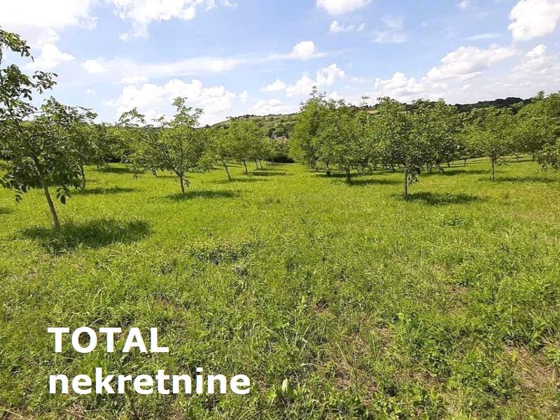 Plac,LEDINCI,NOVI LEDINCI,kv: 9928.00, € 409000, ID: 7089508 3