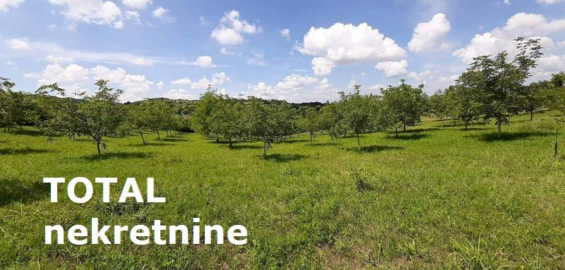 Plac,LEDINCI,NOVI LEDINCI,kv: 9928.00, € 409000, ID: 7089508 4